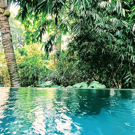 Ngesil Private Joglo & Pool Hotel Ubud Buitenkant foto