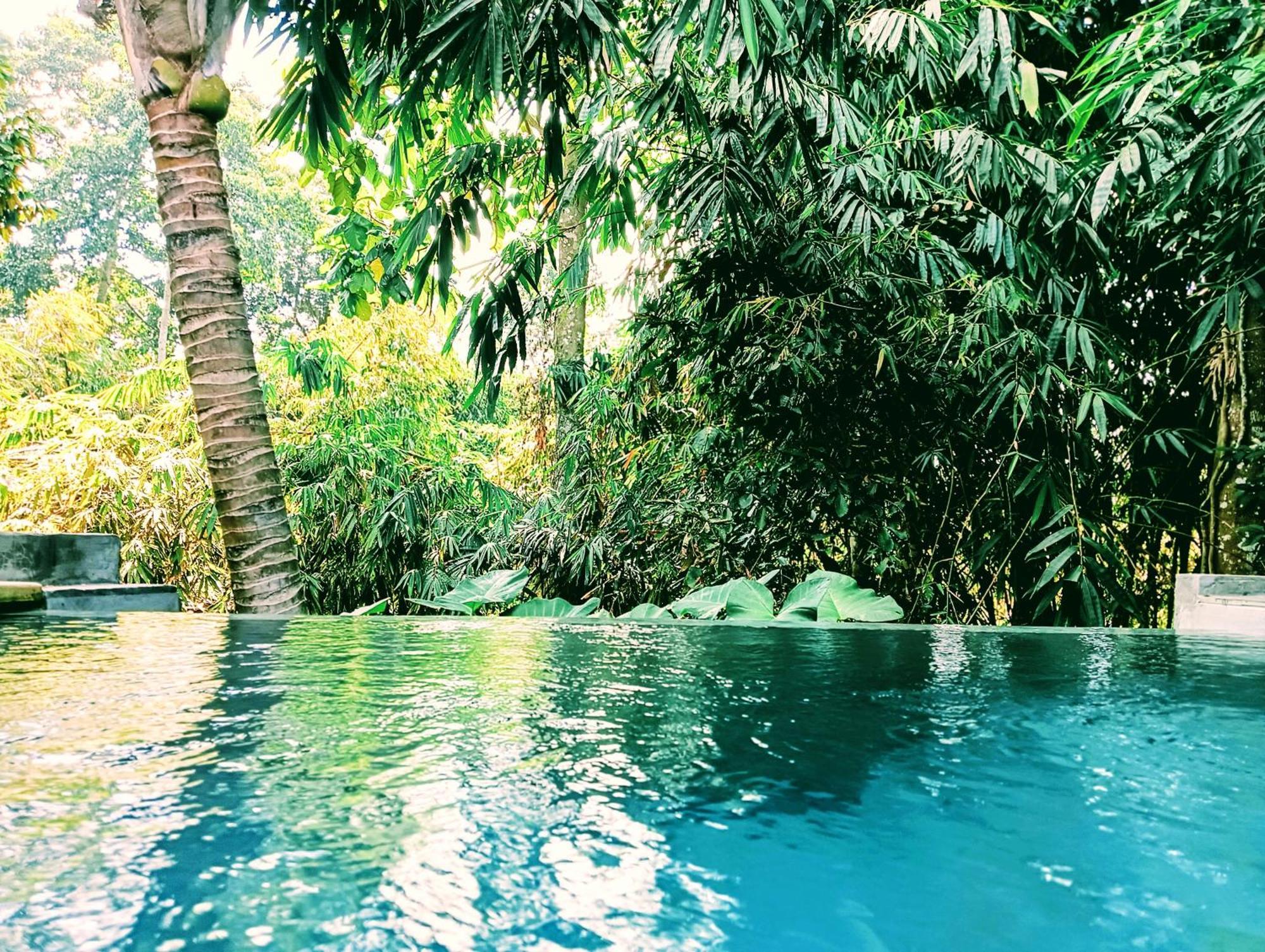 Ngesil Private Joglo & Pool Hotel Ubud Buitenkant foto